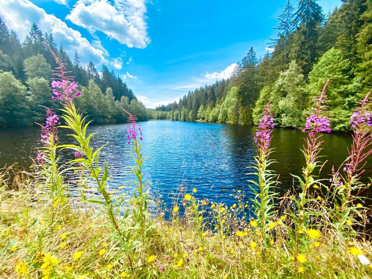 B&B Am Oker, Altenau, Harz Altenau  Exteriér fotografie
