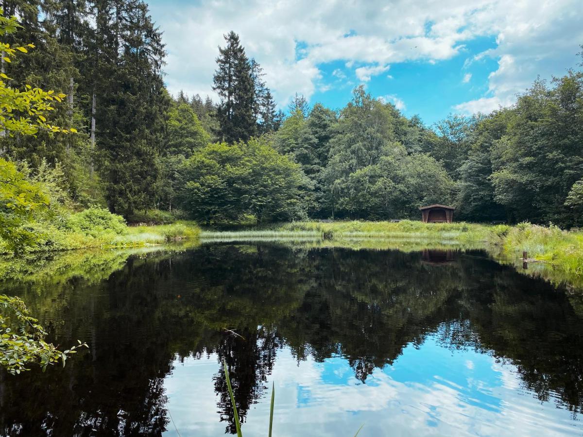 B&B Am Oker, Altenau, Harz Altenau  Exteriér fotografie