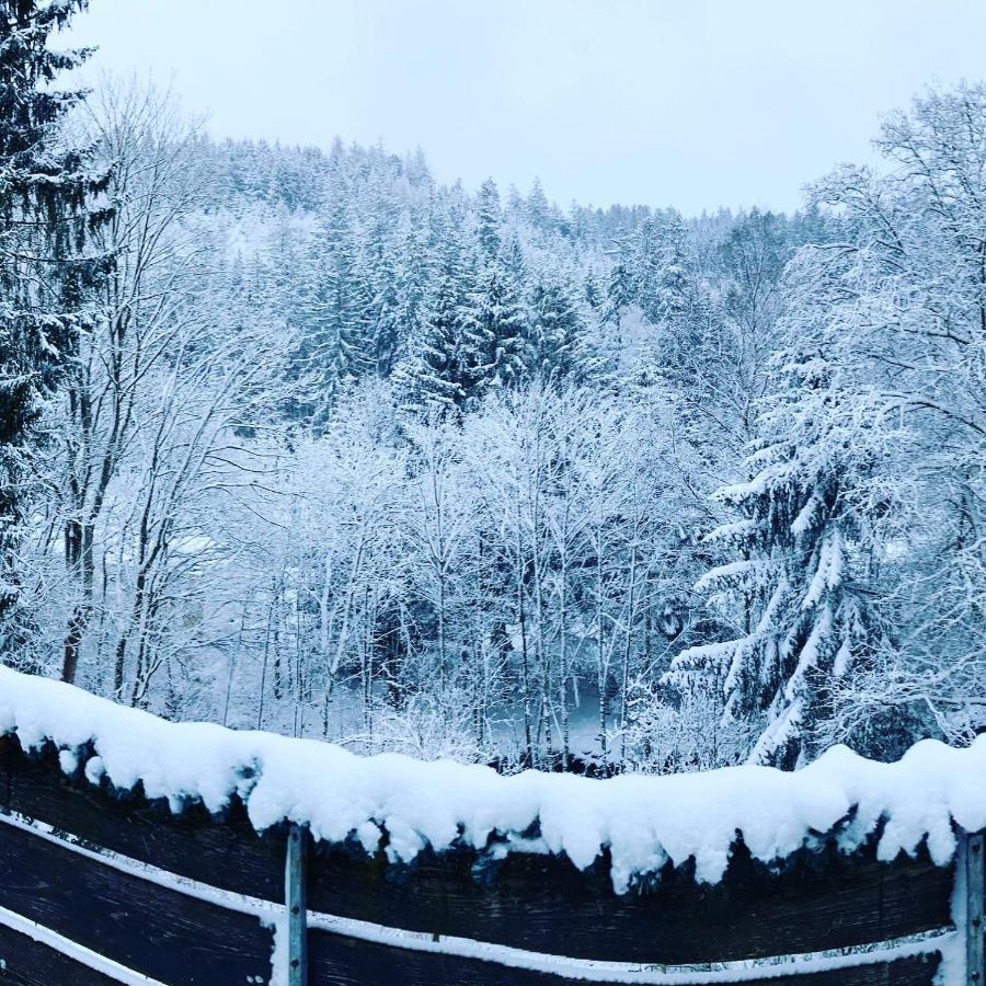 B&B Am Oker, Altenau, Harz Altenau  Exteriér fotografie