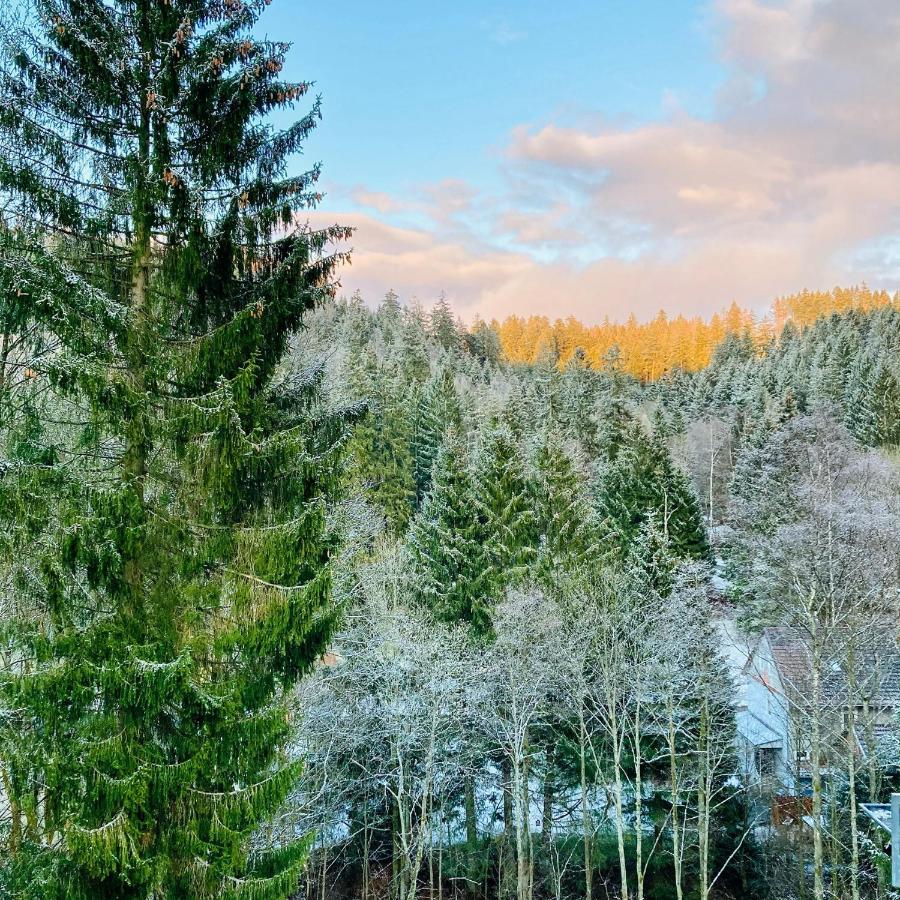 B&B Am Oker, Altenau, Harz Altenau  Exteriér fotografie